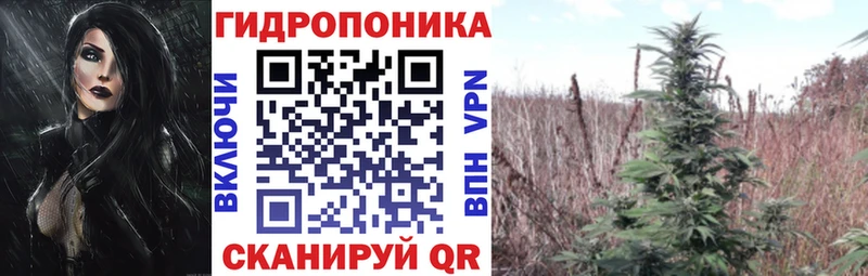 kraken зеркало  Уяр  МАРИХУАНА ГИДРОПОН 